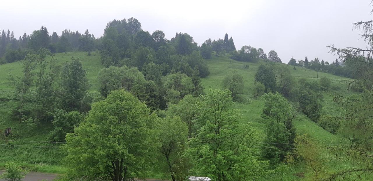 Villa Grace Orjavcsik Kültér fotó
