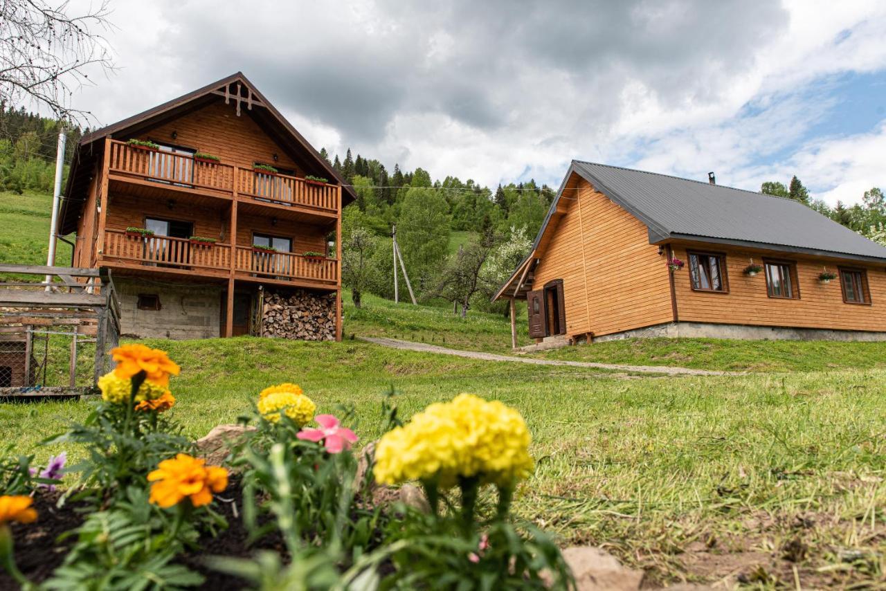 Villa Grace Orjavcsik Kültér fotó