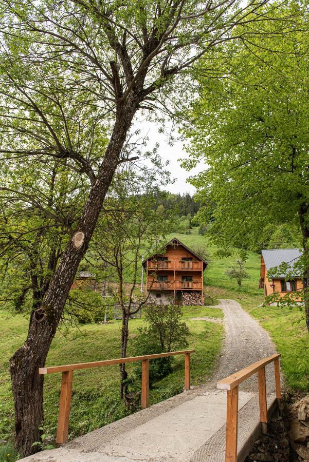 Villa Grace Orjavcsik Kültér fotó