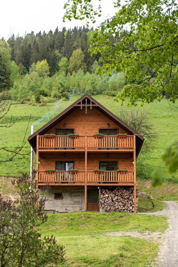 Villa Grace Orjavcsik Kültér fotó