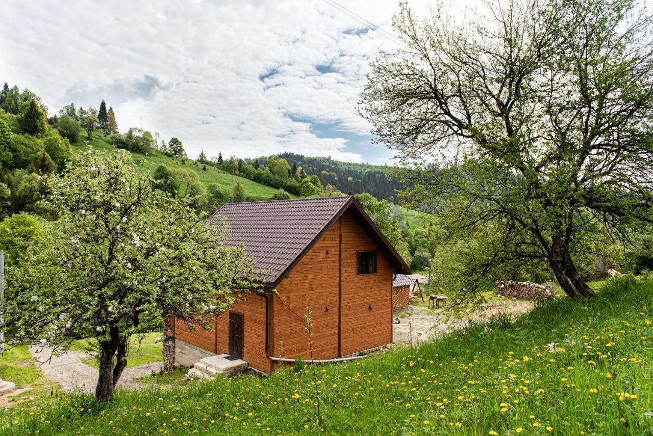 Villa Grace Orjavcsik Kültér fotó
